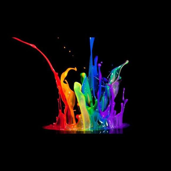 Meet your Posher, Donovan - Picture 1 of 1